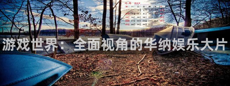 多彩娱乐：游戏世界：全面视角的华纳娱乐大片