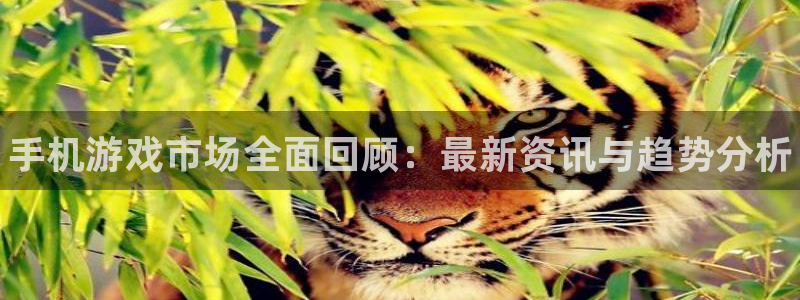 多彩娱乐升级5994月：手机游戏市场全面回顾：最新资讯与趋势