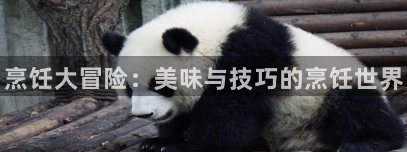 多彩娱乐app下载|下载地址：烹饪大冒险：美味与技巧的烹饪世