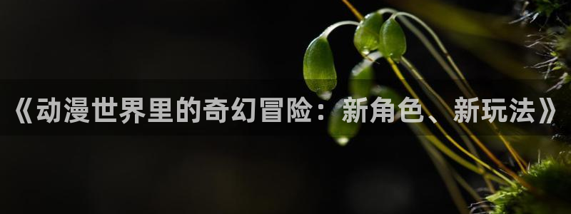 多彩娱乐游戏：《动漫世界里的奇幻冒险：新角色、新玩法》