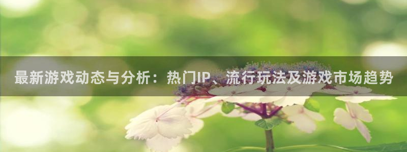 多彩娱乐在线登录：最新游戏动态与分析：热门IP、流行玩法及游