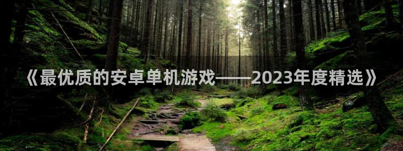 多彩娱乐注册服务条款：《最优质的安卓单机游戏——2023年度