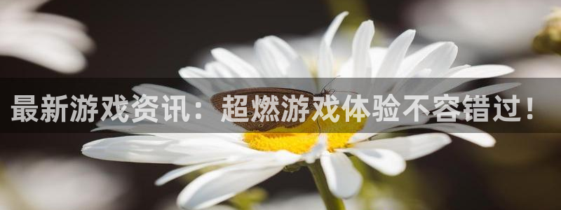 多彩娱乐主管：最新游戏资讯：超燃游戏体验不容错过！