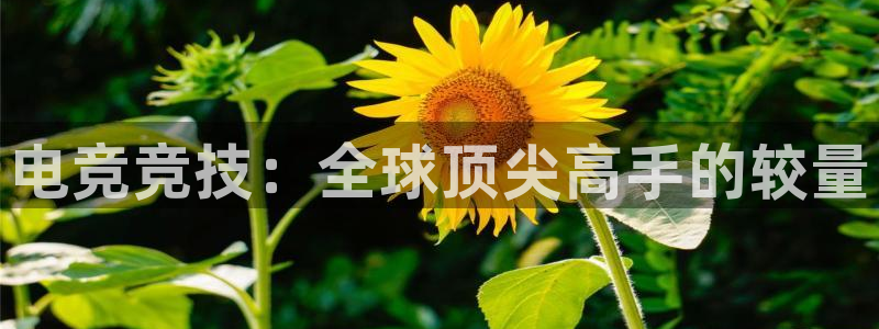 多彩娱乐娱乐是真的吗：电竞竞技：全球顶尖高手的较量