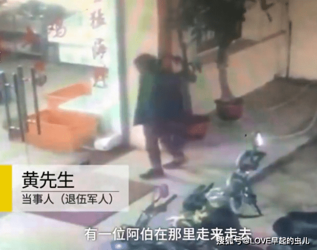 住酒店凌晨被藏马熊推开房门对视,一次难忘的惊险经历 住酒店凌晨被藏马熊推开房门对视,一次难忘的惊险经历