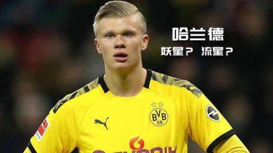 博主，王老吉赌对了哈兰德